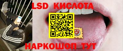 ГАЛЛЮЦИНОГЕННЫЕ ГРИБЫ Свободный