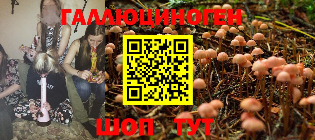 Галлюциногенные грибы Psilocybe  Вход с VPN  Рубцовск 